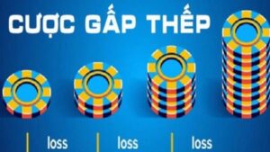 Cách đánh gấp thếp xóc đĩa: Bí kíp về bờ, lãi kép cực căng